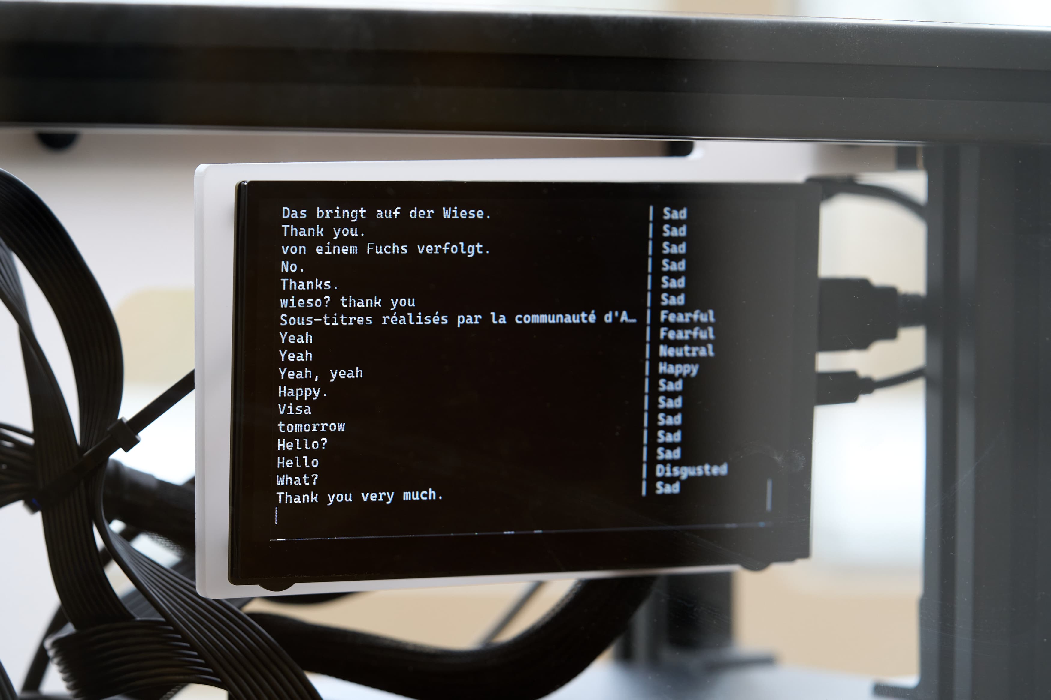 Between Noise and Voice display detail